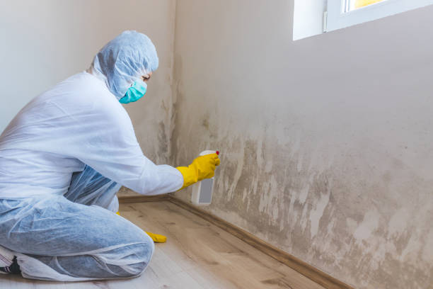 Licensed Crawl Space Mold Removal service in Kenly, NC - WQB Mold Removal
