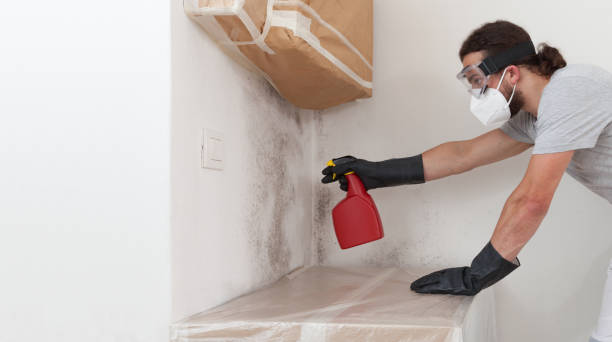 Professional Crawl Space Mold Removal technician working in Kenly, NC