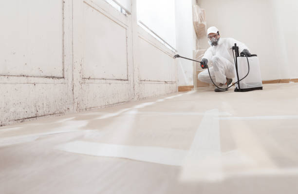 24/7 Emergency Crawl Space Mold Removal experts in Kenly, NC