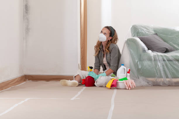 Reliable Crawl Space Mold Removal contractor in Kenly, NC by WQB Mold Removal