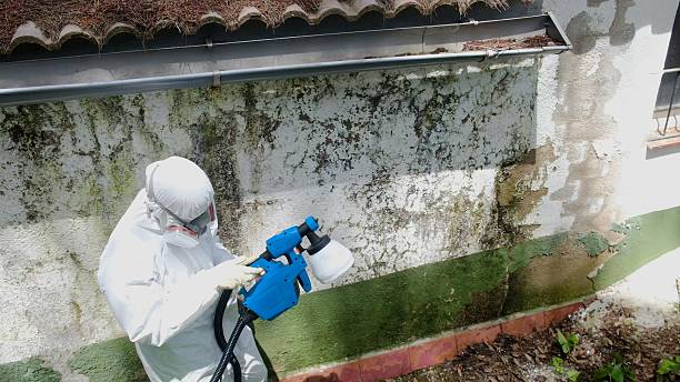 Top rated local Crawl Space Mold Removal specialists in Kenly, NC